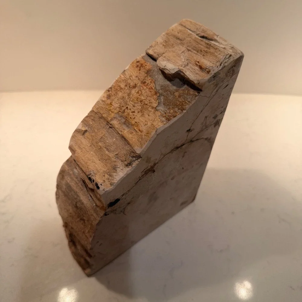 Natural Petrified Wood Single Bookend Handmade Heavy Large Neutral Bibliophile